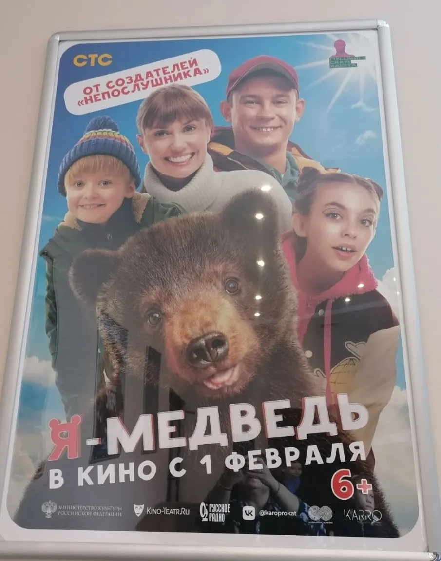 Поездка в кинотеатр. Фильм "Я - медведь"