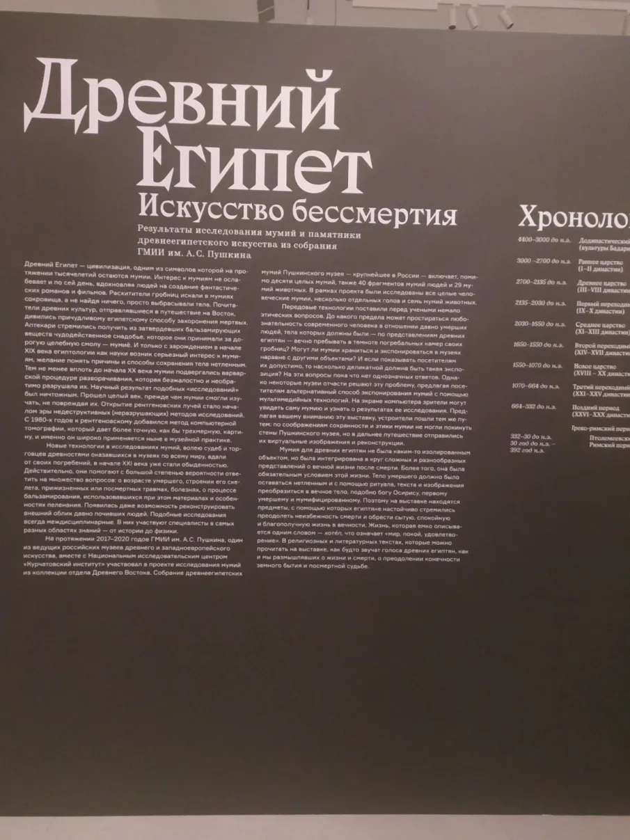 Посещение выставки "Древний Египет. Искусство бессмертия"